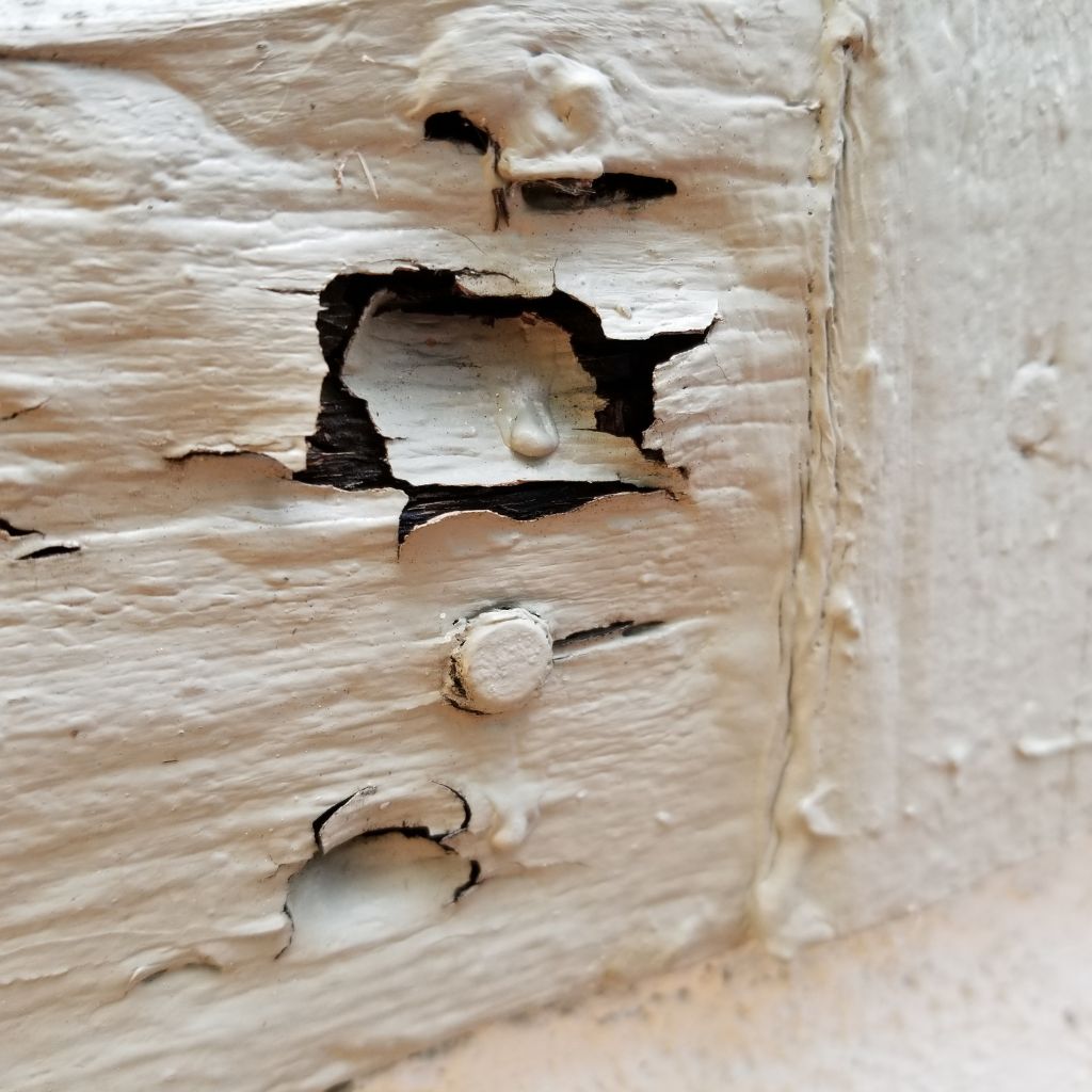 Sacramento Dry Rot Repair