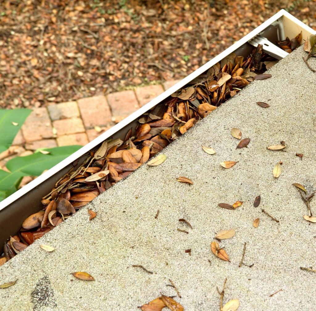 Gutter Services
